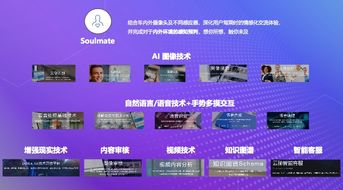 隨身車聯網 技術迭代中用戶注意力完整化的最佳方案