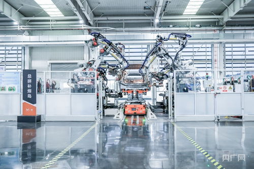 “十五五”啟新程 向新向智，機器人解鎖產業新賽道